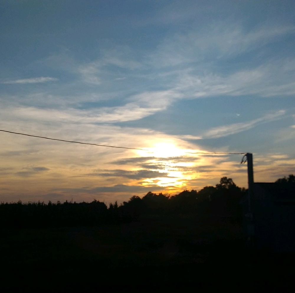 Meet your Posher, Tyliyah